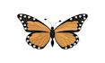 do custom embroidery digitizing into dst,pes,jef file