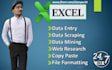do data extraction and data entry in low price