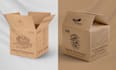 do sleeve box, shoe box, corrugated box, master carton box, cardboard box design