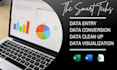 do data entry, conversion, clean up, formatting, and charts