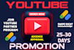 promote your youtube organically for monetization
