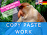 do copy paste work