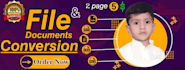 accurate data entry and file conversion with 5 years experience