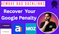disavow bad backlinks and remove moz spam score and toxic links