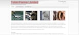 build you a blog
