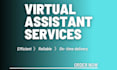 be your professional administrative virtual assistant