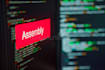 do x86 assembly programming