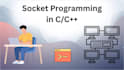 build socket programs in c, cpp and python