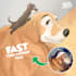 turn your cute dog into disney cartoon