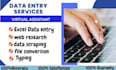do fast and accurate data entry, file conversion, and typing