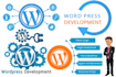 design professional and responsive wordpress website