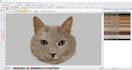 do embroidery digitizing in  pxf dst pes vp3  emb jef