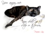 grant you permission to sleep