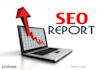 create a detailed seo report for your site