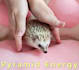 do a pyramid energy healing