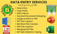 be your expert data entry VA
