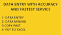 fastest data entry in one day