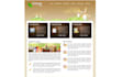 design 5 pages seo friendly web sites