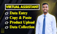 do data entry work in excel spreadsheets or wordpress