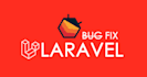 design your website and develop laravel application