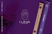 design a modern logo with a professional presentation for you