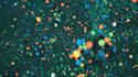 create psychedelic animation with music vibe visualizer