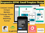 design branded email or newsletter templates that convert