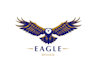 provide creative eagles logo with satisfaction guaranteed
