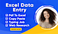 do excel data entry, convert pdf to excel, copy paste, typing, or web research