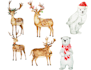 create custom watercolor animal collection