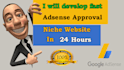develop fast adsense approval niche website in 24 hours