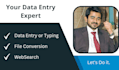do data entry, web research, and file conversion