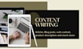 write top quality SEO articles and blog posts on every niche