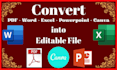 convert or reformat pdf, word, excel or canva design