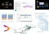 do visualizations using python powerbi and r