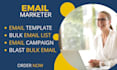 send bulk email blast email campaigns to targeted audience blast emails