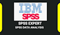 do statistical analysis, spss data analysis, stata, python