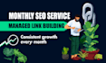 managed link building monthly SEO backlinks service
