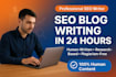 write SEO optimized articles and blog posts within 24 hours