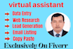 do data entry, copy pest, excel data entry and web research