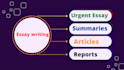 be your professional and urgent essay writer