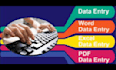 do data entry, web scraping, excel, typing, copy paste work