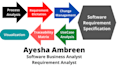be your business analyst, requirement analyst