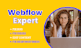fix webflow issues, bugs, responsiveness and any problems