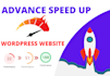 speed up wordpress website for google pagespeed insights by wp rocket