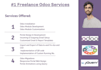 create, develop, and fix odoo modules