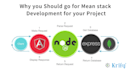 fix and develop mern and mean stack websites and nodejs apis
