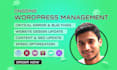 fix wordpress bugs, speed up, and provide site maintenance