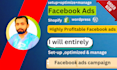 set up highly profitable and impessive facebook ads campaign sales and leads