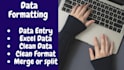 clean, organize, and merge your excel or CSV data professionally